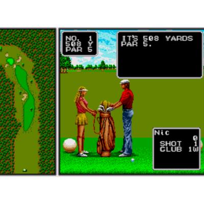 Картридж Tournament Golf (б/у) в боксе