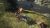Dragons Dogma II (2) (PS5, рус.) Dragons Dogma II (2) (PS5, рус.)