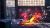 Double Dragon Revive Limited Edition (PS5) Double Dragon Revive Limited Edition (PS5)