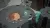 Cocoon (Nintendo Switch, рус.) Cocoon (Nintendo Switch, рус.)
