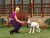 The Sims 2 Pets Platinum (PSP, б/у) The Sims 2 Pets Platinum (PSP, б/у)