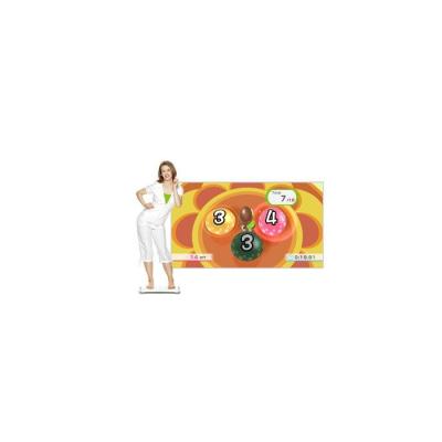Wii Fit Plus (Wii, б/у, незнач.царап., устанавливается на 100%)