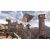 Assassins Creed Братство Крови Classics (Xbox 360/One/Series, б/у, рус.) Assassins Creed Братство Крови Classics (Xbox 360/One/Series, б/у, рус.)