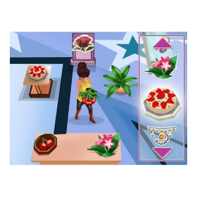 Imagine: Boutique Owner (DS, б/у)
