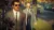 Hitman 2 (Xbox One/Series, рус.) Hitman 2 (Xbox One/Series, рус.)