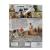 Два лика января (DVD)