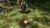 Pikmin 1+2 (Nintendo Switch) Pikmin 1+2 (Nintendo Switch)