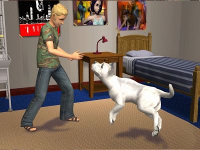 The Sims 2 Pets Platinum (PSP, б/у)