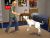 The Sims 2 Pets Platinum (PSP, б/у)
