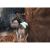 Prince of Persia The Sands of Time (PS2, б/у) Prince of Persia The Sands of Time (PS2, б/у)