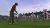 Tiger Woods PGA Tour 06 (PS2, б/у) Tiger Woods PGA Tour 06 (PS2, б/у)