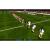 Actua Soccer Club Edition (PS1, б/у) Actua Soccer Club Edition (PS1, б/у)