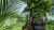 Far Cry 3 Essentials (PS3, рус., витринный образец) Far Cry 3 Essentials (PS3, рус., витринный образец)