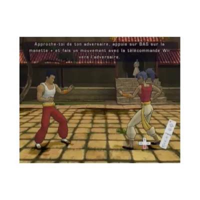 Legend of the Dragon (Wii) ( регион PAL)