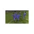 UEFA EURO 2008 (Xbox 360, б/у) UEFA EURO 2008 (Xbox 360, б/у)