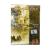 Властелин колец: Братство Кольца (DVD) Властелин колец: Братство Кольца (DVD)