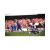 FIFA 13 (Xbox 360, б/у) FIFA 13 (Xbox 360, б/у)