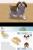 Nintendogs Dachshund and Friends (DS, б/у) Nintendogs Dachshund and Friends (DS, б/у)