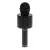 Микрофон для Караоке WS-858 (Black) Микрофон для Караоке WS-858 (Black)