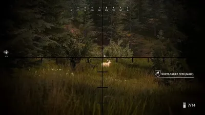 Hunting Simulator 2 (PS5, рус., витринный образец)