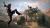 Rage 2 (Xbox One/Series, б/у, рус.)