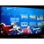 PS Move Starter Disc (PS3, б/у, рус.) PS Move Starter Disc (PS3, б/у, рус.)