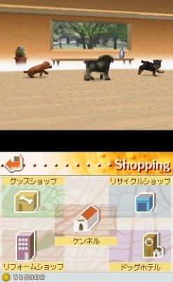 Nintendogs Dachshund and Friends (DS, б/у)