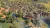 Sid Meiers Civilization VII (7) (Nintendo Switch, рус.) Sid Meiers Civilization VII (7) (Nintendo Switch, рус.)