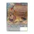 Месть мертвецов (DVD) Месть мертвецов (DVD)
