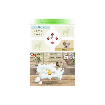 Nintendogs Labrador and Friends (DS, б/у, без бокса)