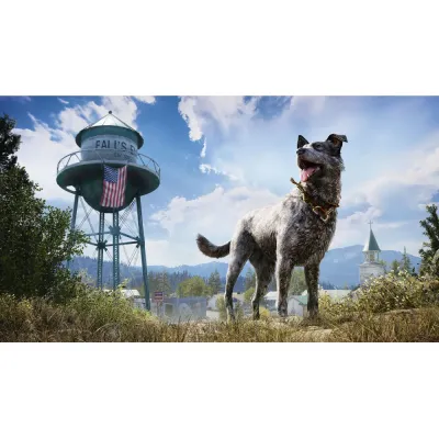 Far Cry 5 (PS4/PS5, б/у, рус.)