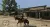 Red Dead Redemption (RDR) Classics (Xbox 360/One/Series, б/у) Red Dead Redemption (RDR) Classics (Xbox 360/One/Series, б/у)