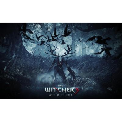 Ведьмак 3 Дикая охота (PS4/PS5, б/у, рус.)