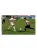 FIFA Football 2005 (PS2, б/у) FIFA Football 2005 (PS2, б/у)