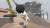 Human Fall Flat - Dream Collection (PS4/PS5, б/у, рус.) Human Fall Flat - Dream Collection (PS4/PS5, б/у, рус.)