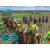 G1 Jockey 3 (PS2, б/у) G1 Jockey 3 (PS2, б/у)