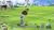 Everybodys Golf (PSP) Everybodys Golf (PSP)