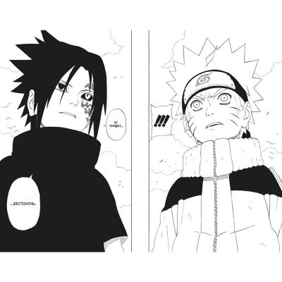 Комикс Naruto / Наруто. Книга 9. День, когда их пути разошлись