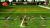 NFL Street (Xbox, б/у) NFL Street (Xbox, б/у)