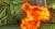 Fantastic Four Rise of the Silver Surfer (DS, б/у) Fantastic Four Rise of the Silver Surfer (DS, б/у)