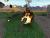 Thunderhawk 2 Firestorm (PS1, б/у) Thunderhawk 2 Firestorm (PS1, б/у)