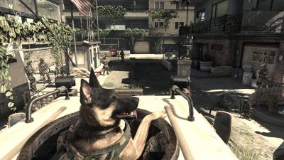 Call of Duty Ghosts (PS3, б/у, без обложки, множ.царап., уст. на 100%)