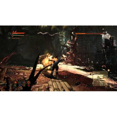 Bound by Flame (PS3, витринный образец)