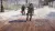Tom Clancys The Division (PS4/PS5, б/у, рус., без обложки)