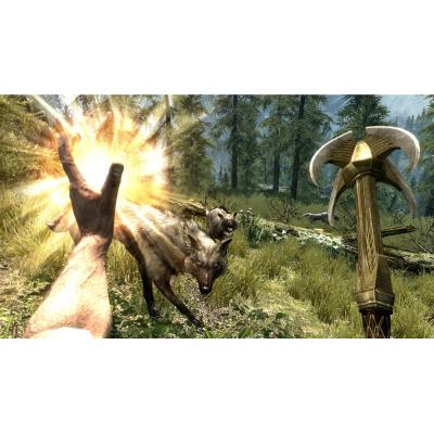 The Elder Scrolls V Skyrim (Nintendo Switch, рус.)