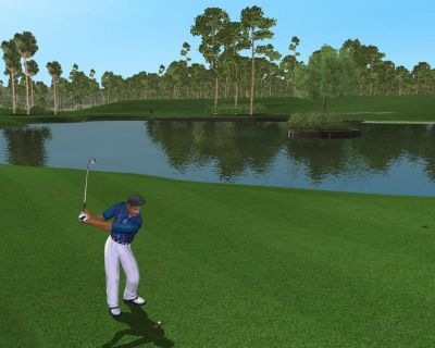 Tiger Woods PGA Tour 2003 (Xbox, б/у) NTSC-U