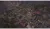 Surviving the Aftermath Day One Edition (Xbox One/Series, рус.) Surviving the Aftermath Day One Edition (Xbox One/Series, рус.)