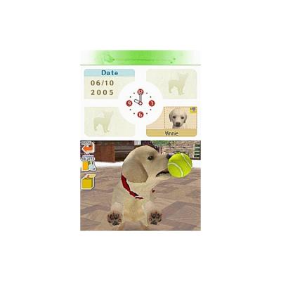 Nintendogs Labrador and Friends (DS, б/у, без бокса)