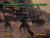 Mortal Kombat Deadly Alliance (Xbox, б/у, без обложки, множ.царап., устанавливается на 100%) Mortal Kombat Deadly Alliance (Xbox, б/у, без обложки, множ.царап., устанавливается на 100%)
