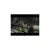 Fight Night 2004 (Xbox/Xbox 360, б/у) Fight Night 2004 (Xbox/Xbox 360, б/у)